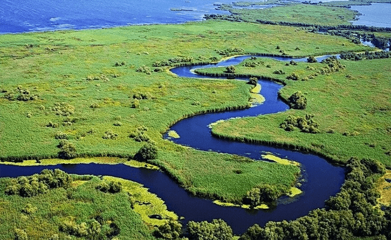 Rezervația Biosfera Delta Dunării