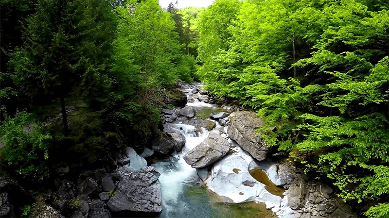 Rezervația Naturală Cheile Nerei