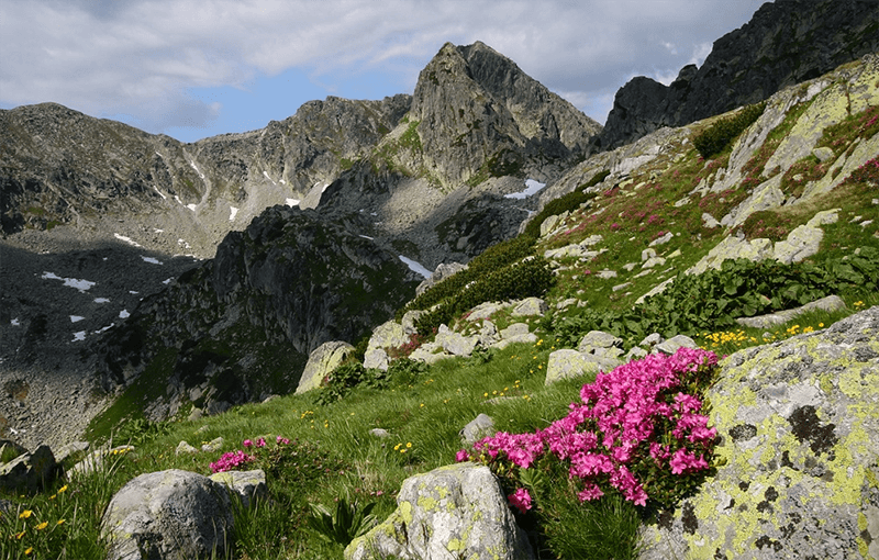 Rezervația Naturală Retezat
